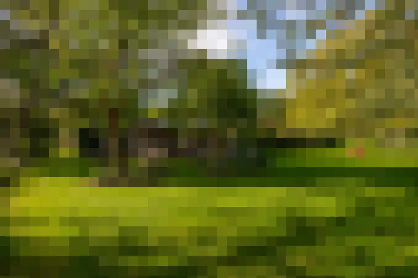 Oude Deventerweg 2 Laren thumbnail 104