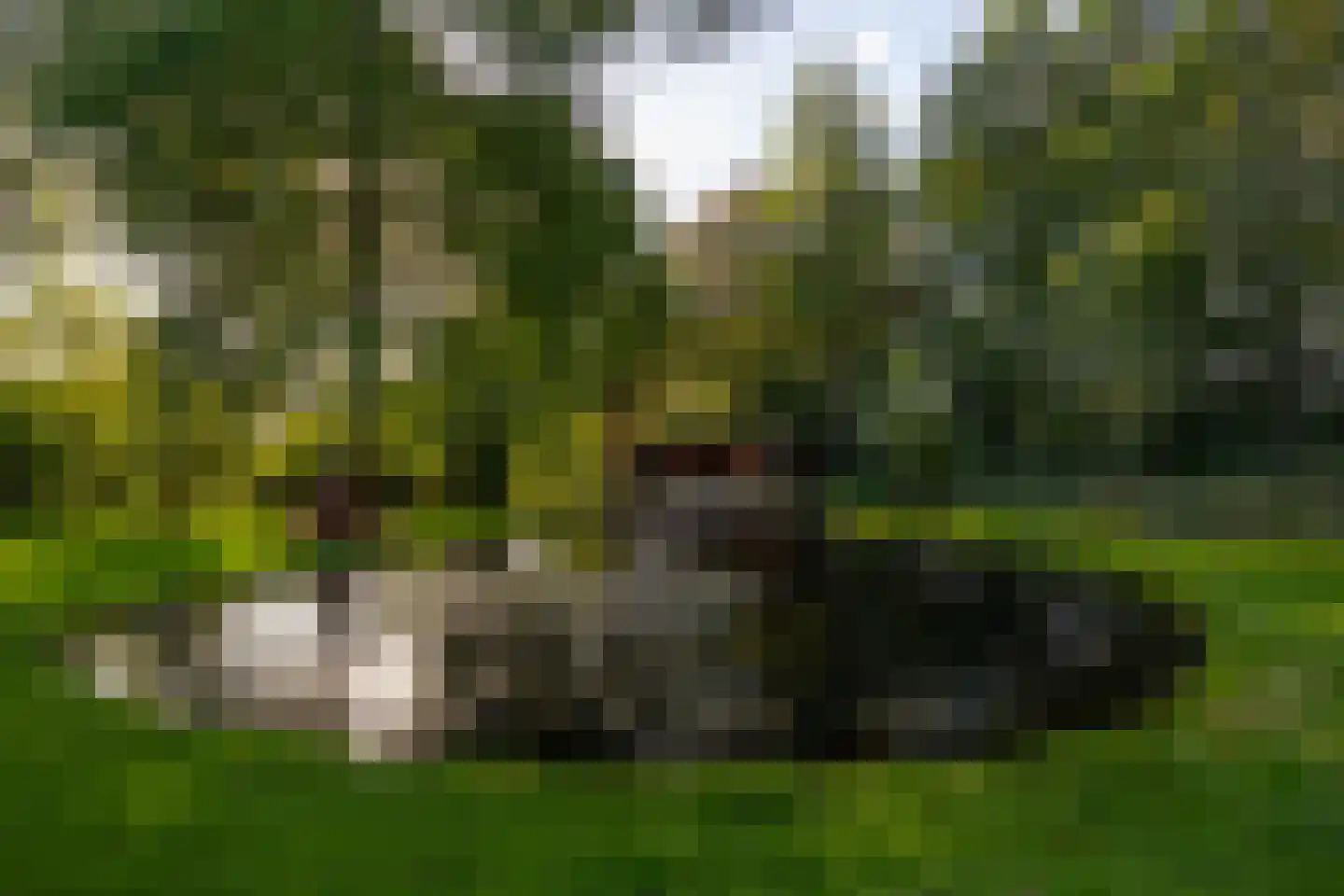 Oude Deventerweg 2 Laren thumbnail 105