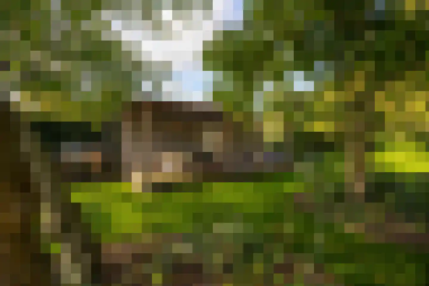 Oude Deventerweg 2 Laren thumbnail 106