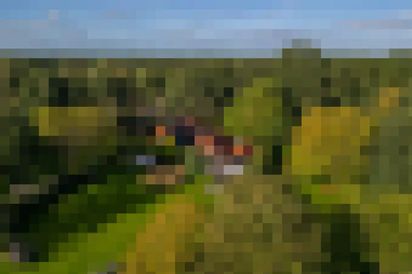 Oude Deventerweg 2 Laren thumbnail 108