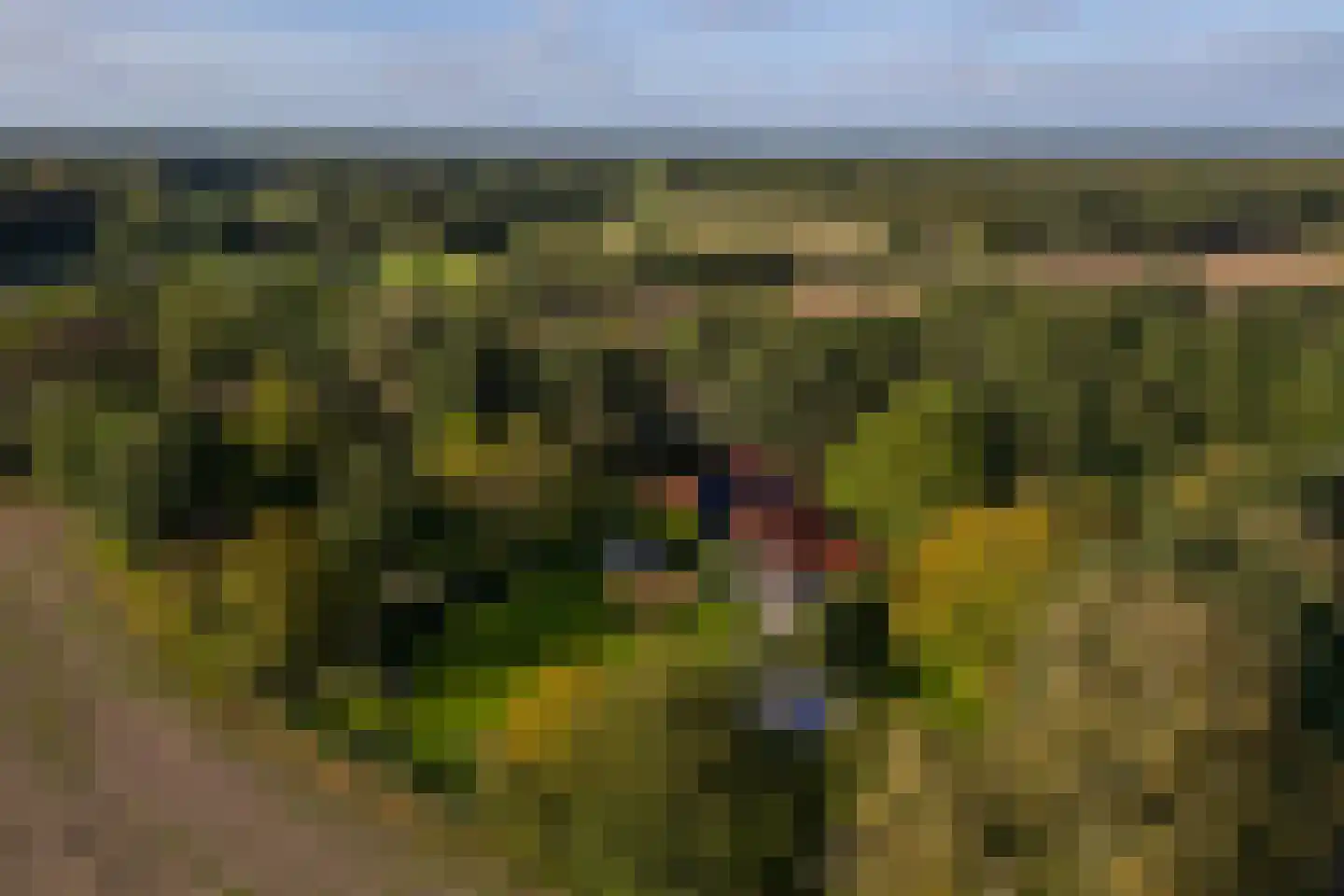 Oude Deventerweg 2 Laren thumbnail 109