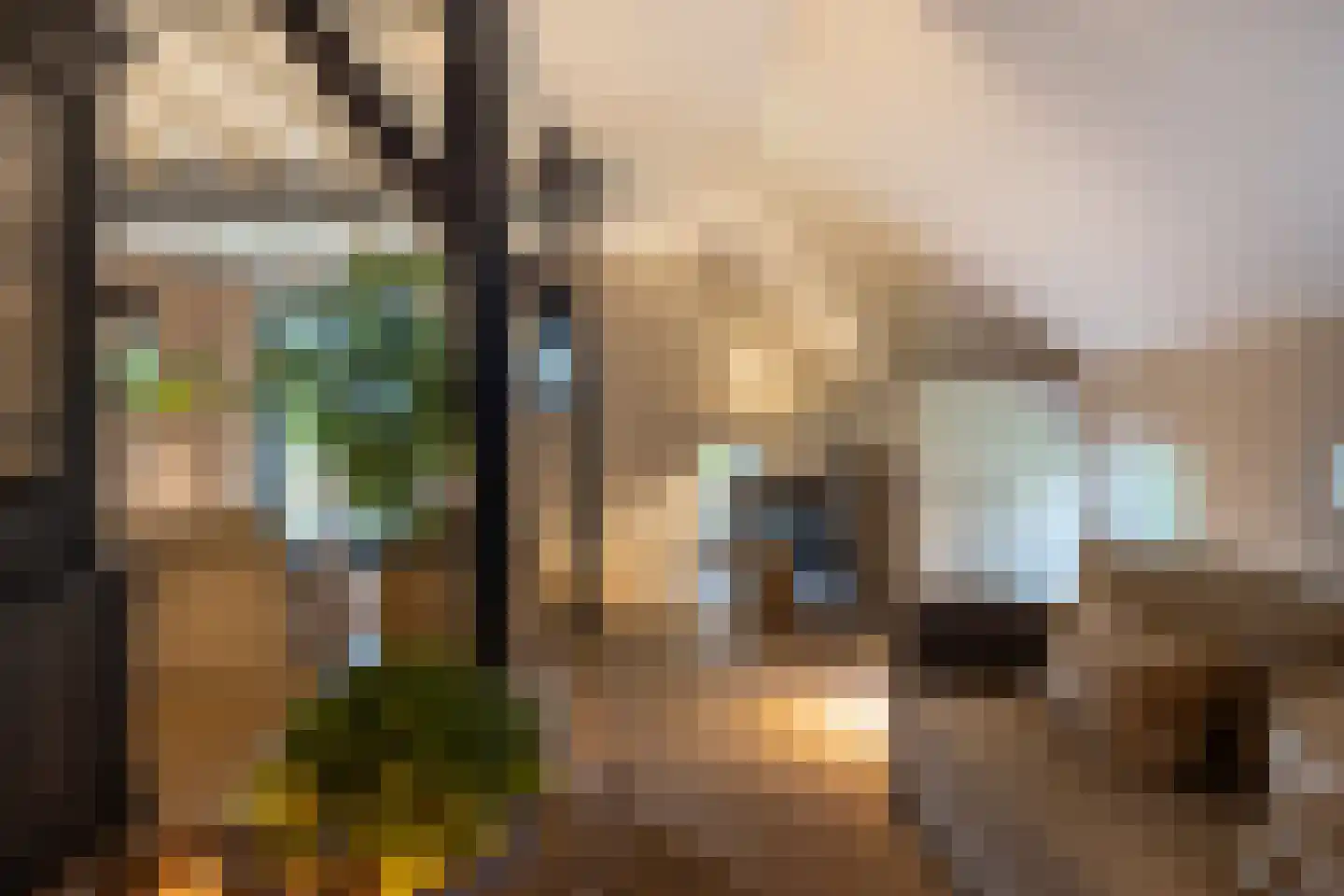 Oude Deventerweg 2 Laren thumbnail 11