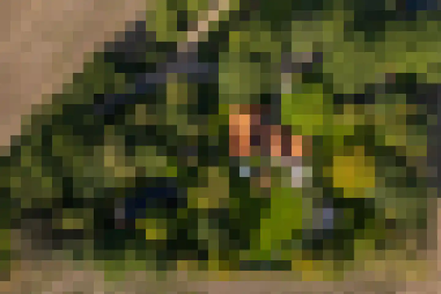 Oude Deventerweg 2 Laren thumbnail 110