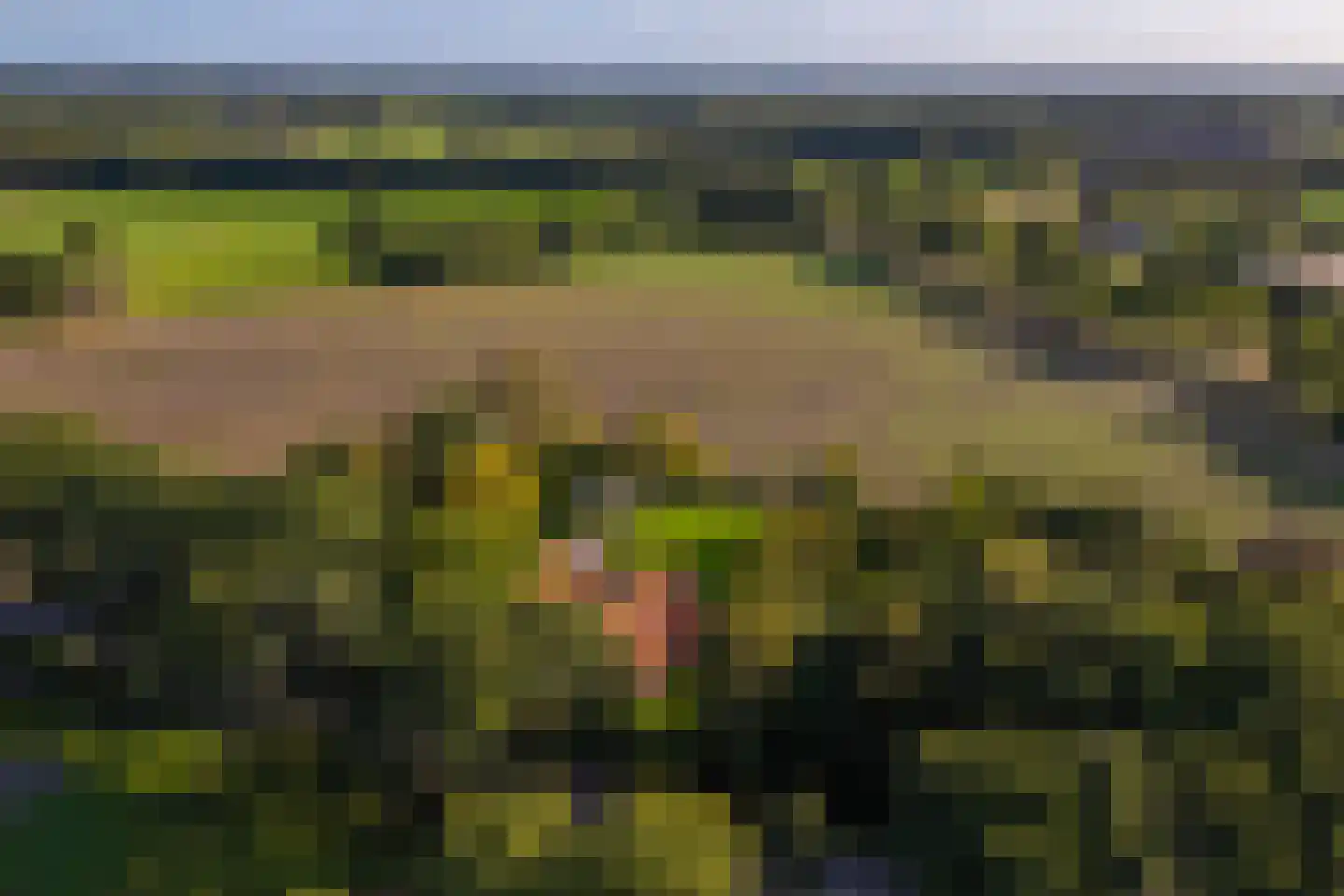 Oude Deventerweg 2 Laren thumbnail 111