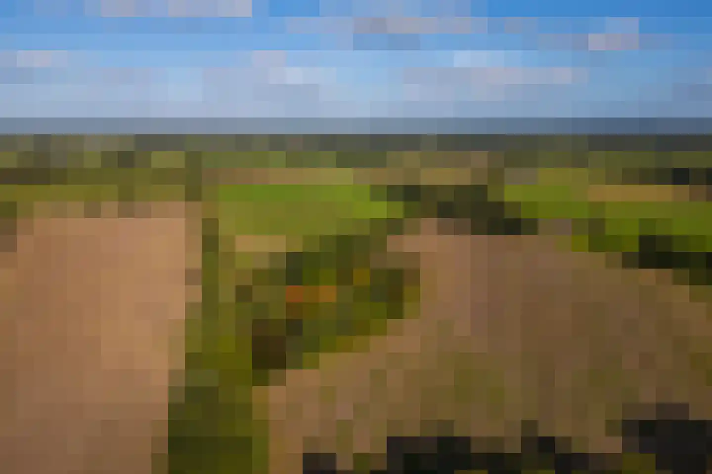 Oude Deventerweg 2 Laren thumbnail 112
