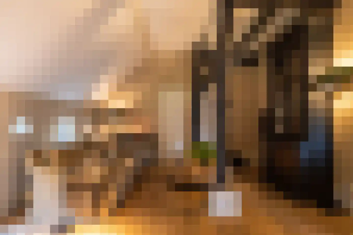 Oude Deventerweg 2 Laren thumbnail 13