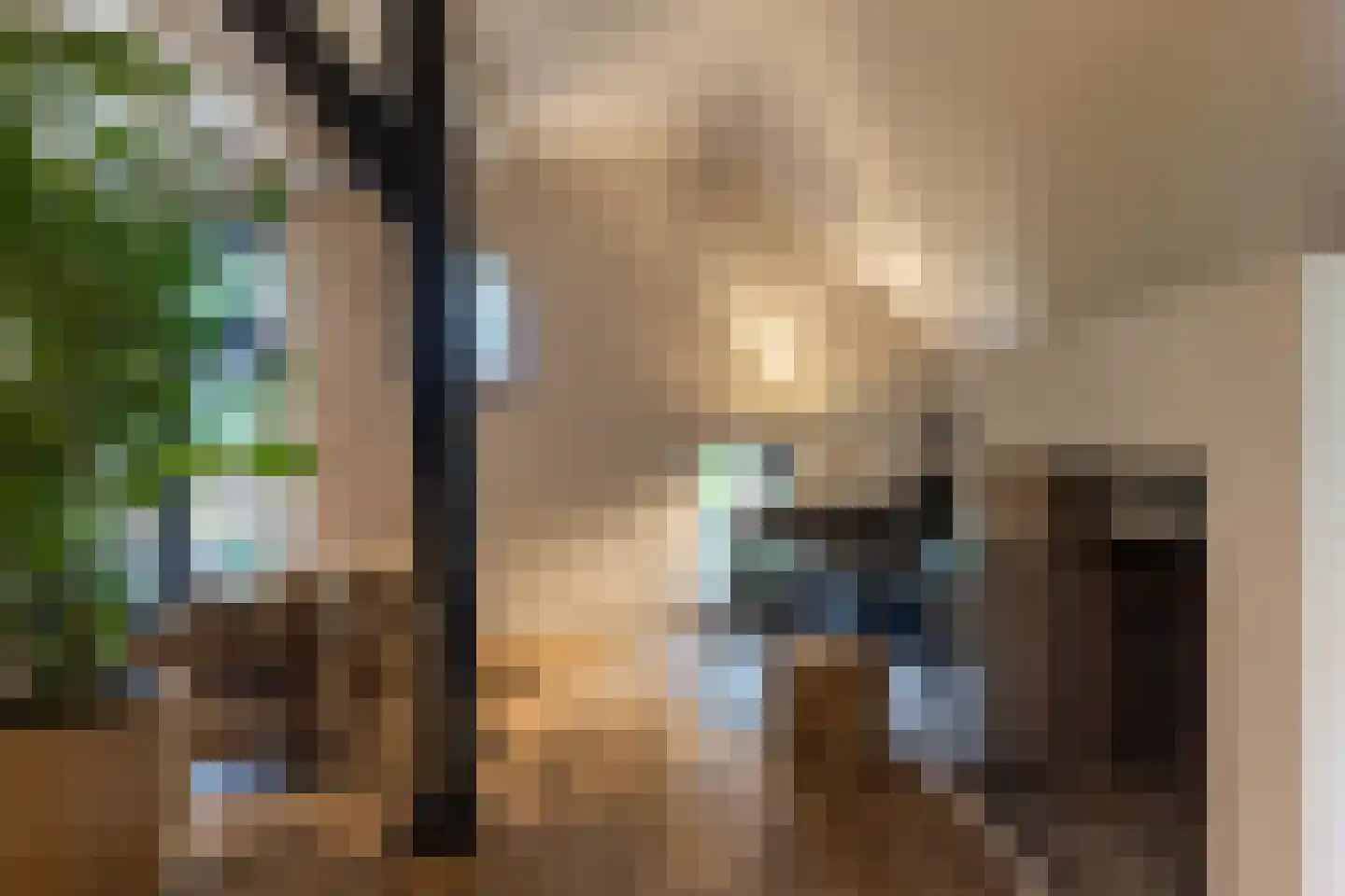 Oude Deventerweg 2 Laren thumbnail 14