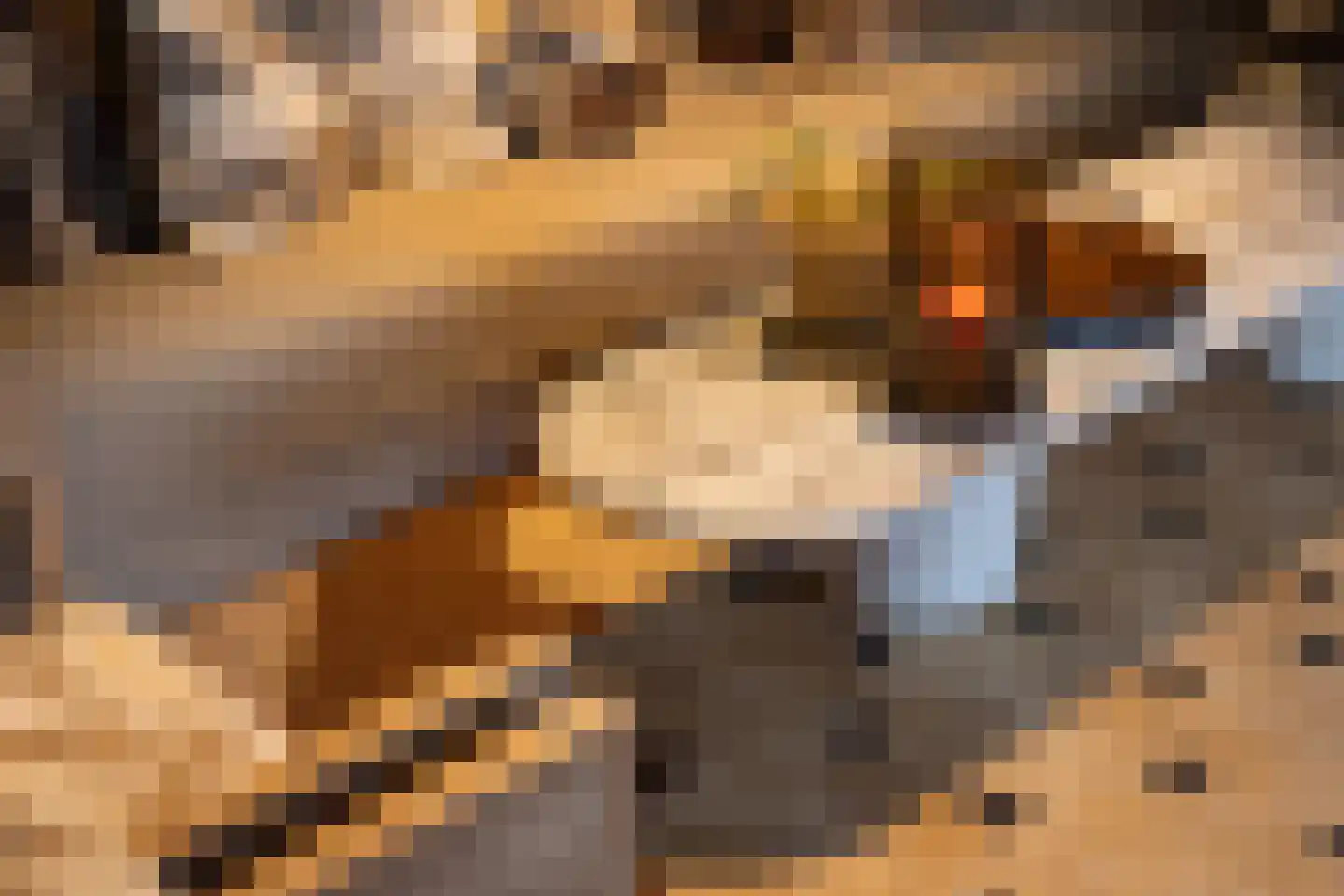 Oude Deventerweg 2 Laren thumbnail 18
