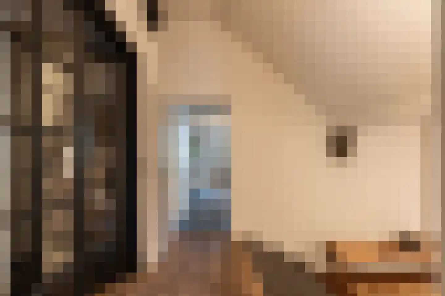 Oude Deventerweg 2 Laren thumbnail 19