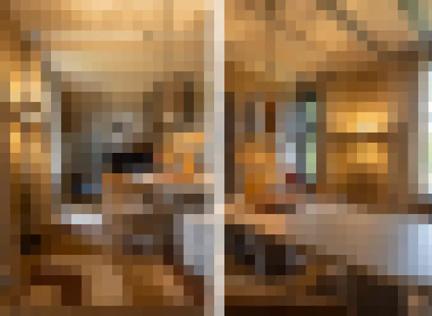 Oude Deventerweg 2 Laren thumbnail 24