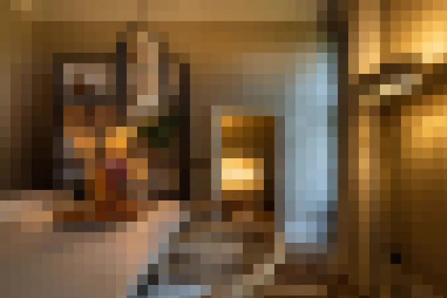 Oude Deventerweg 2 Laren thumbnail 26