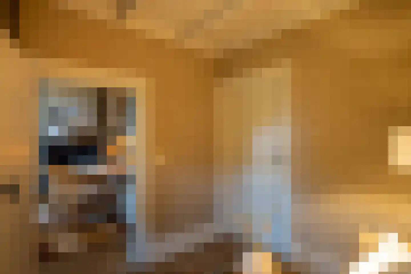 Oude Deventerweg 2 Laren thumbnail 29