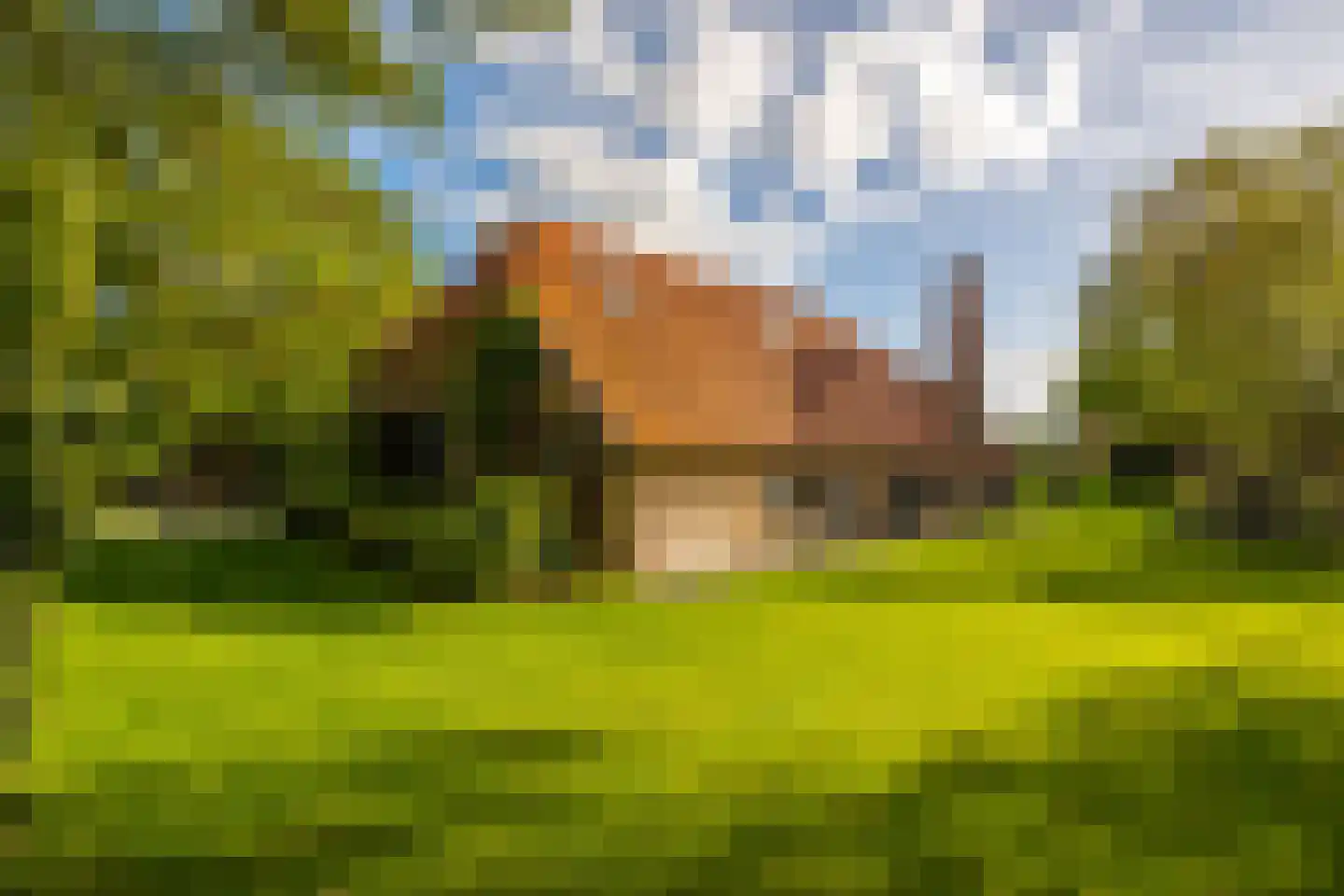 Oude Deventerweg 2 Laren foto 3