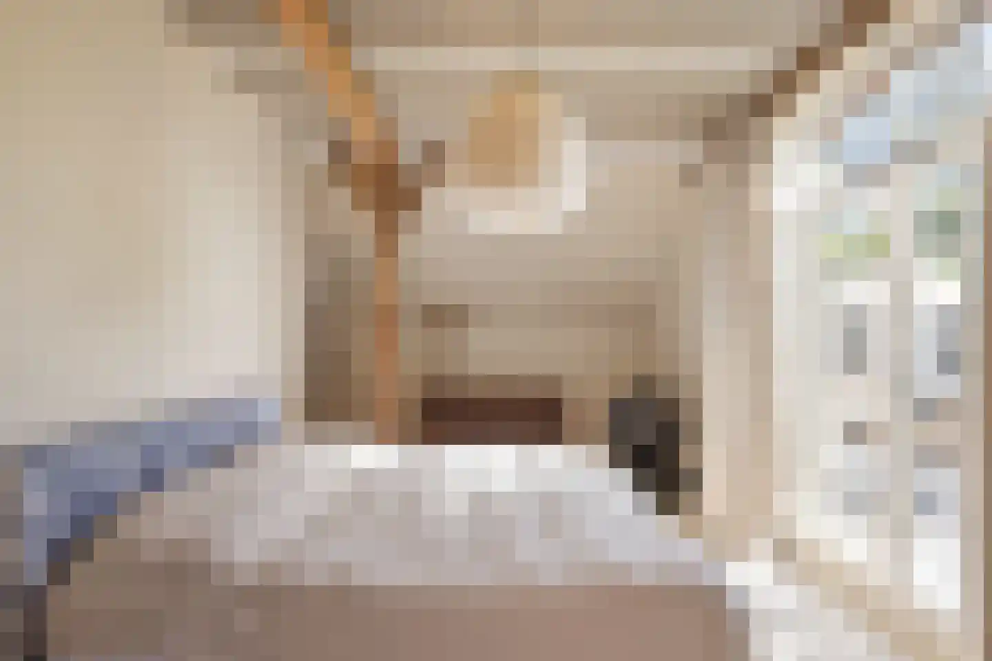 Oude Deventerweg 2 Laren thumbnail 33