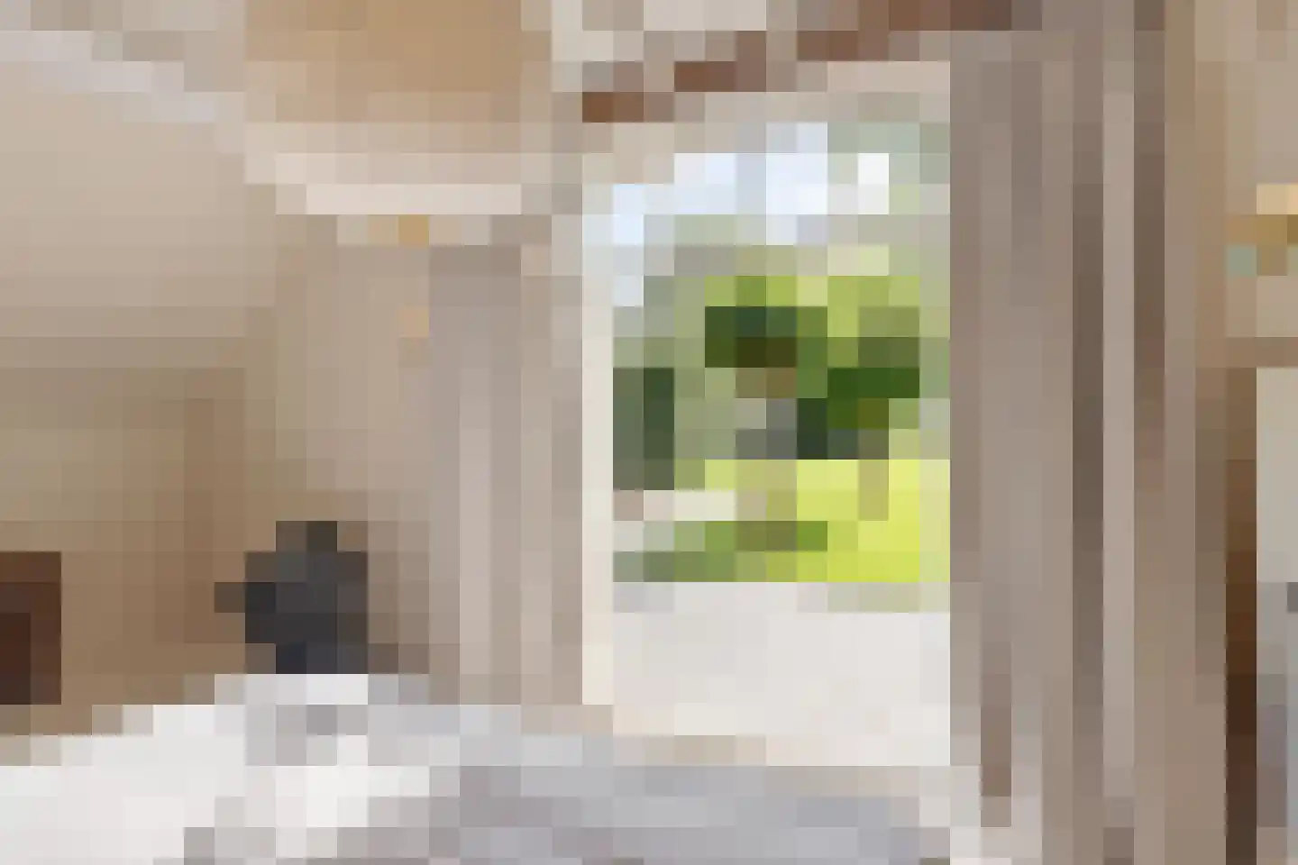 Oude Deventerweg 2 Laren thumbnail 35
