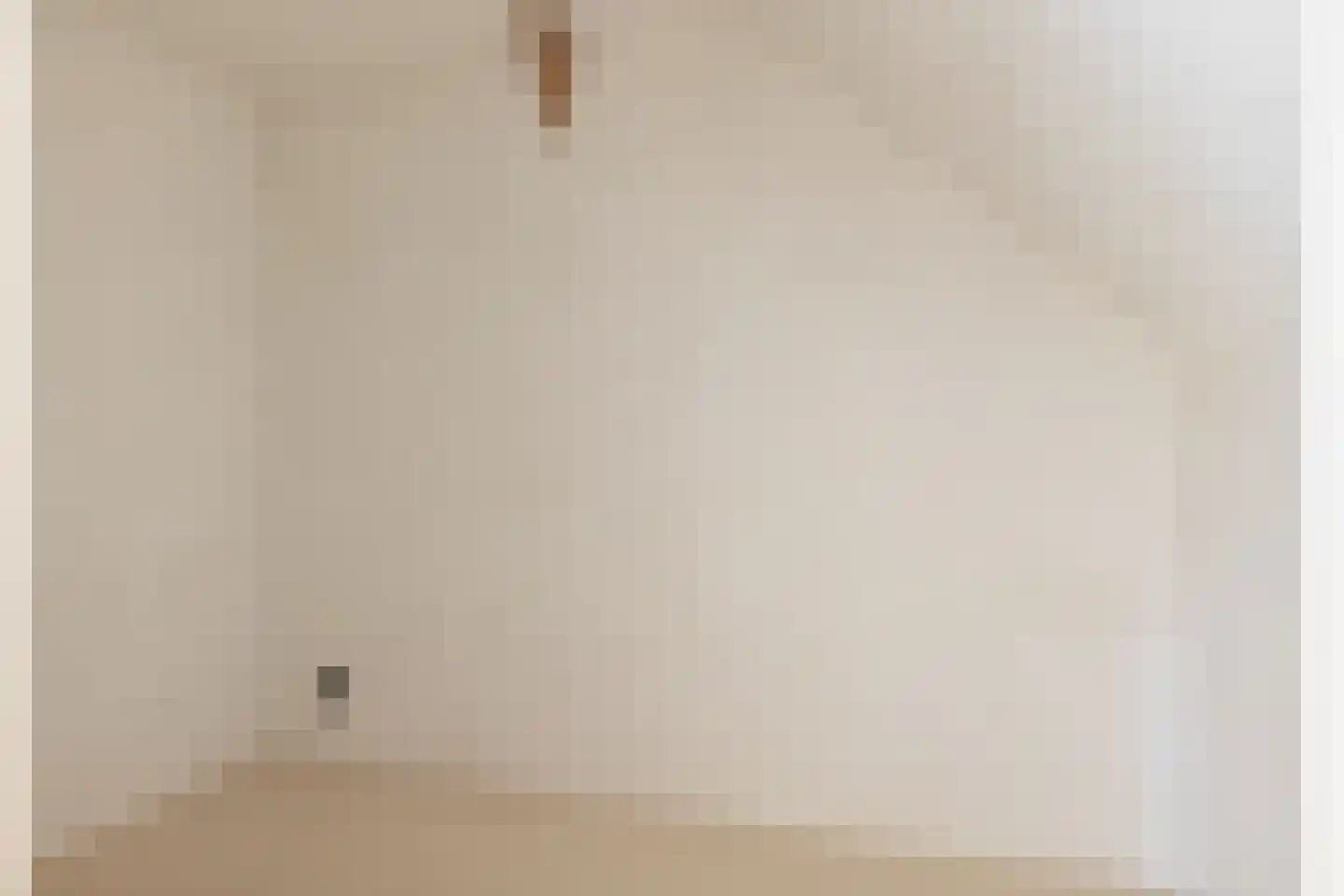 Oude Deventerweg 2 Laren thumbnail 37