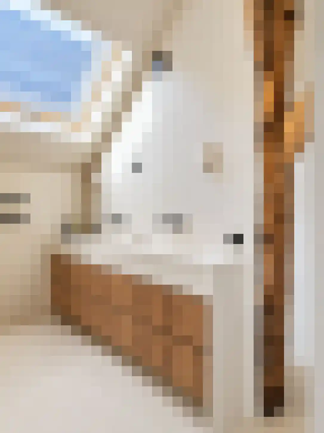 Oude Deventerweg 2 Laren thumbnail 38