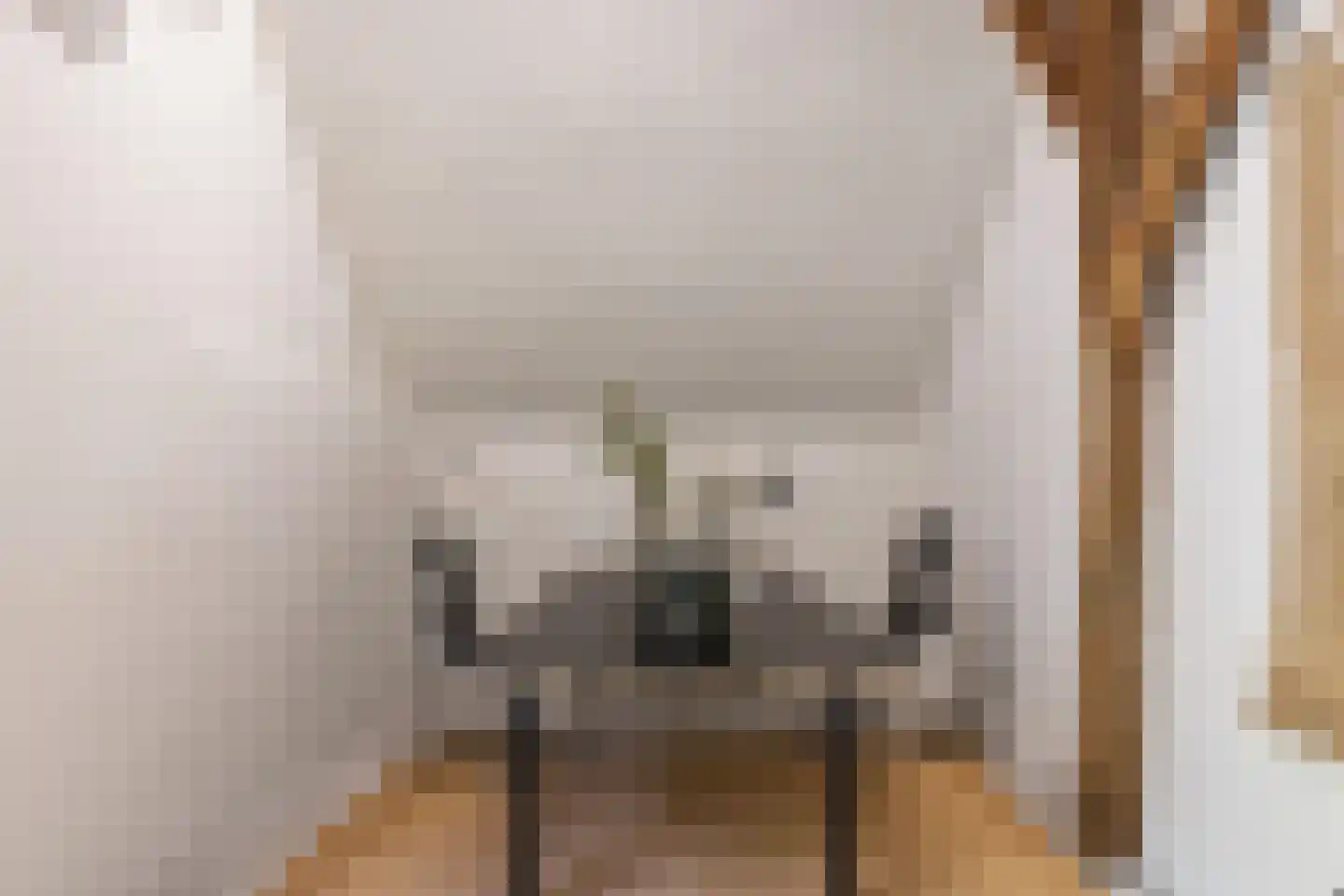 Oude Deventerweg 2 Laren thumbnail 39