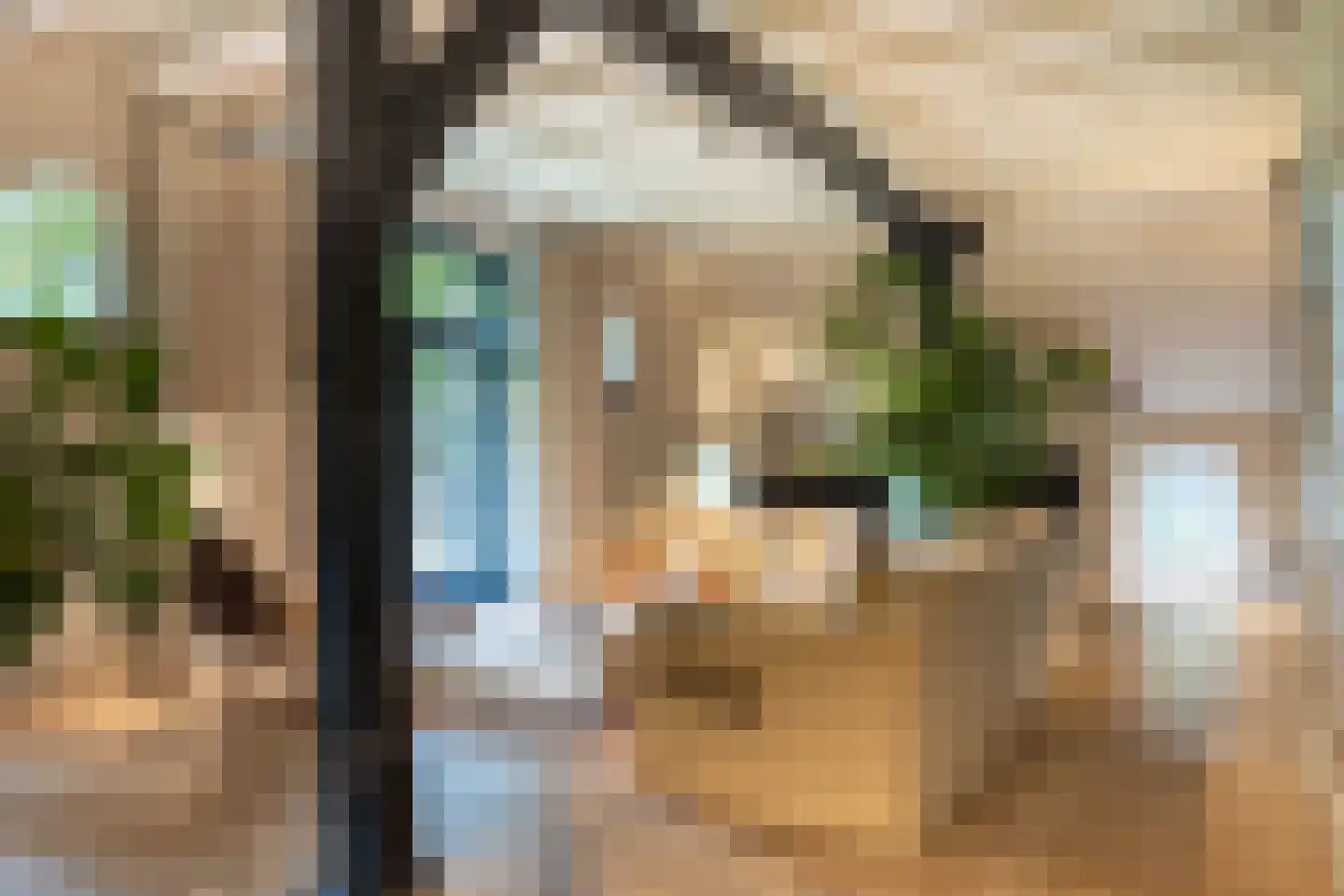 Oude Deventerweg 2 Laren thumbnail 4