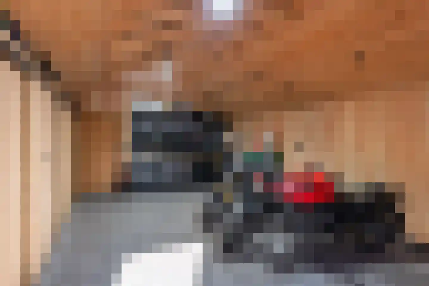 Oude Deventerweg 2 Laren thumbnail 42