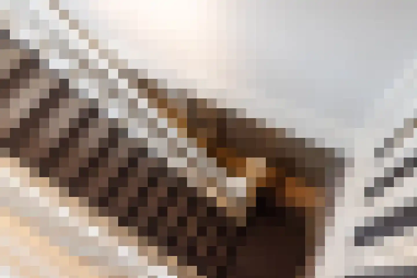 Oude Deventerweg 2 Laren thumbnail 48