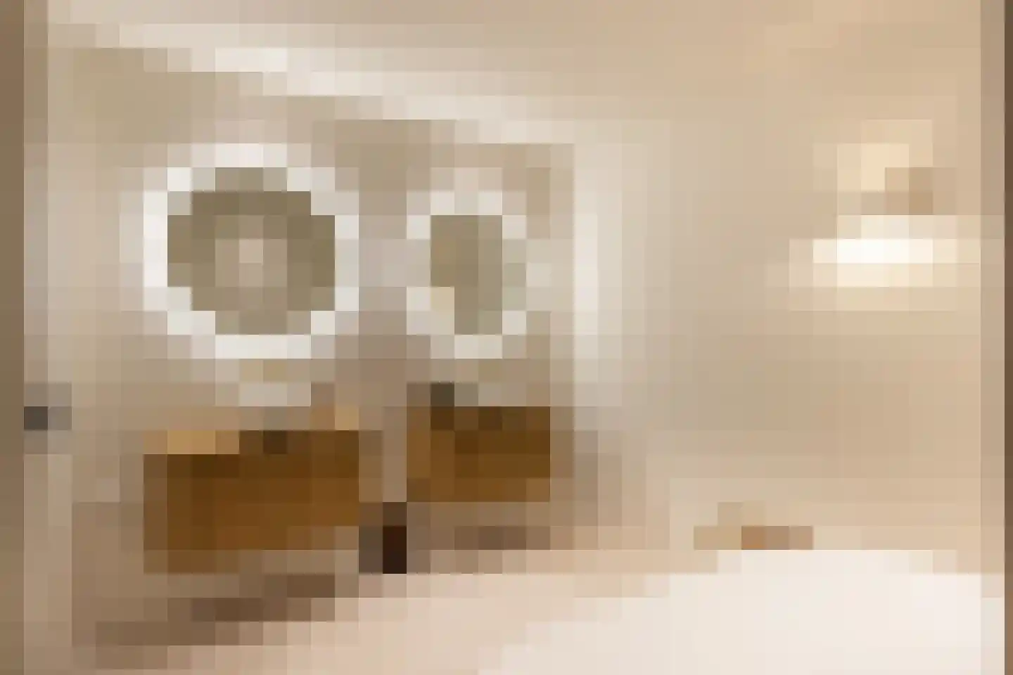 Oude Deventerweg 2 Laren thumbnail 53