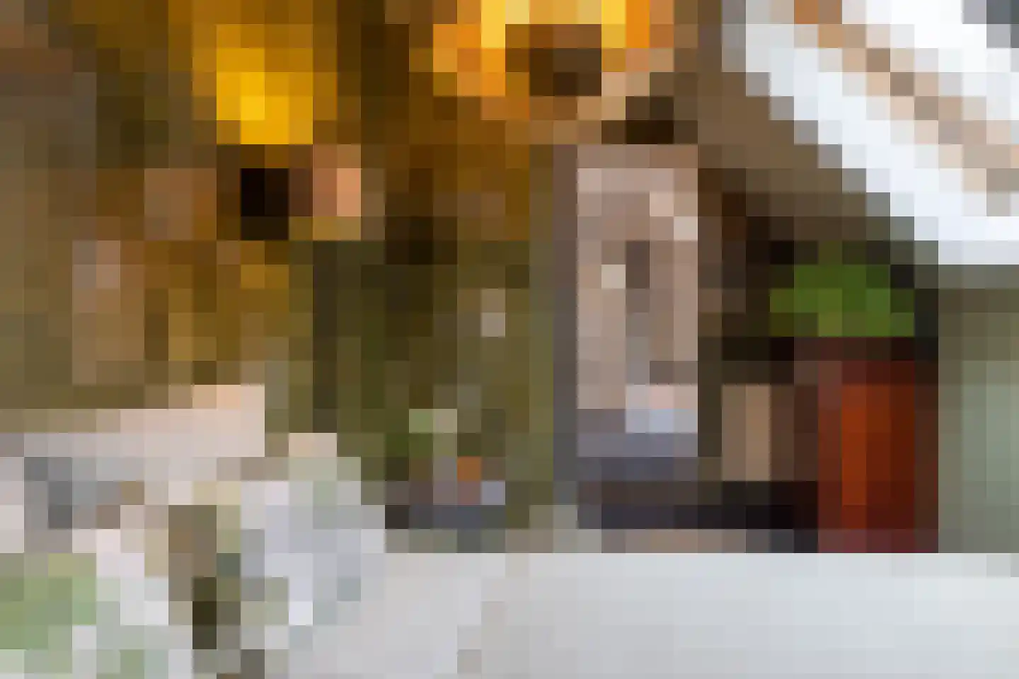 Oude Deventerweg 2 Laren thumbnail 57