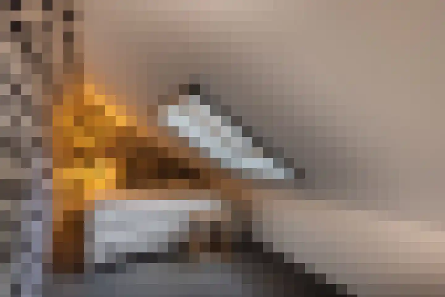 Oude Deventerweg 2 Laren thumbnail 58