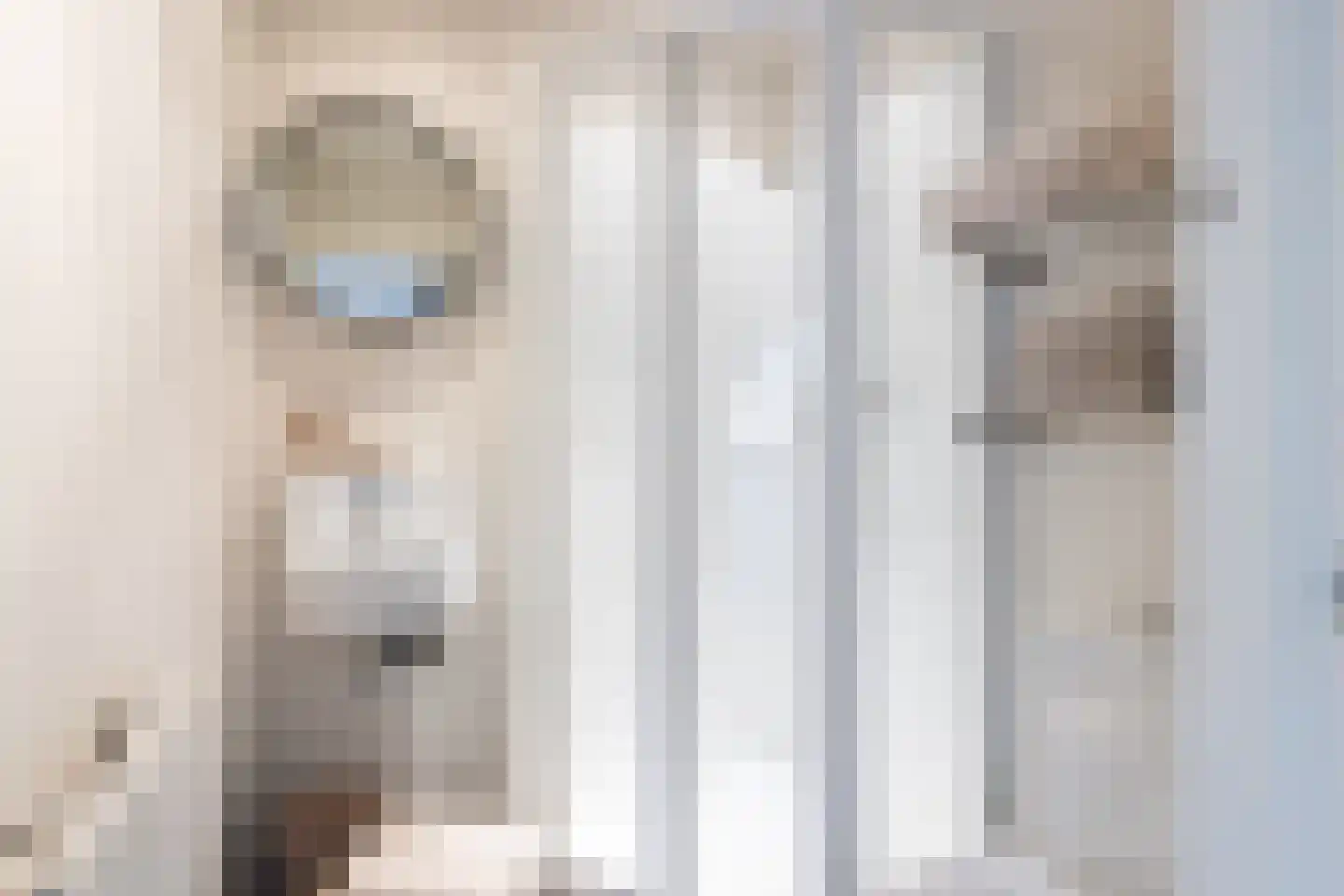 Oude Deventerweg 2 Laren thumbnail 60