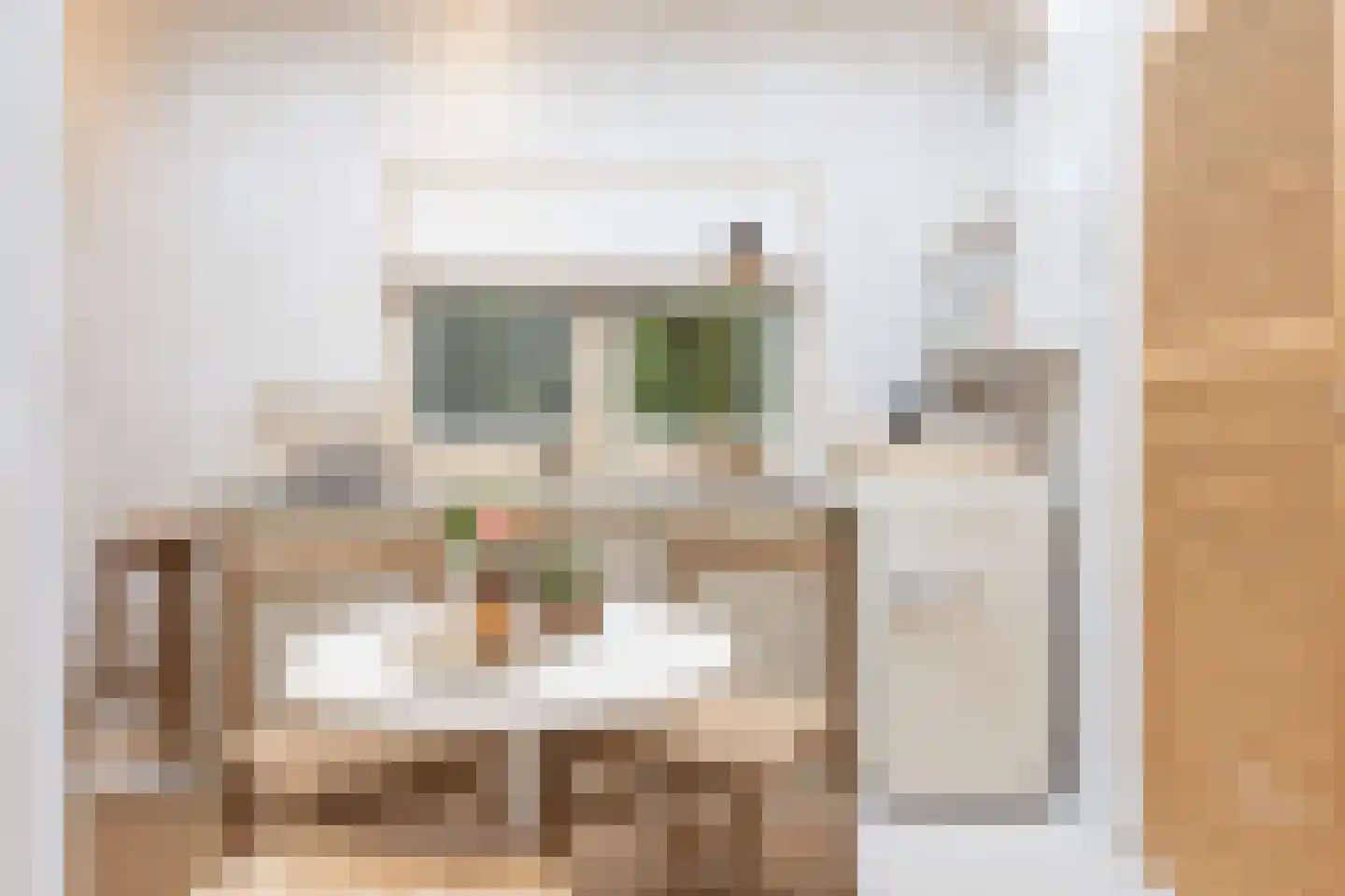 Oude Deventerweg 2 Laren thumbnail 62