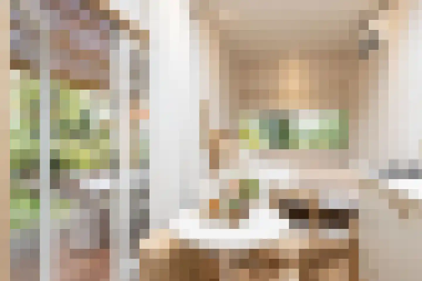 Oude Deventerweg 2 Laren thumbnail 63