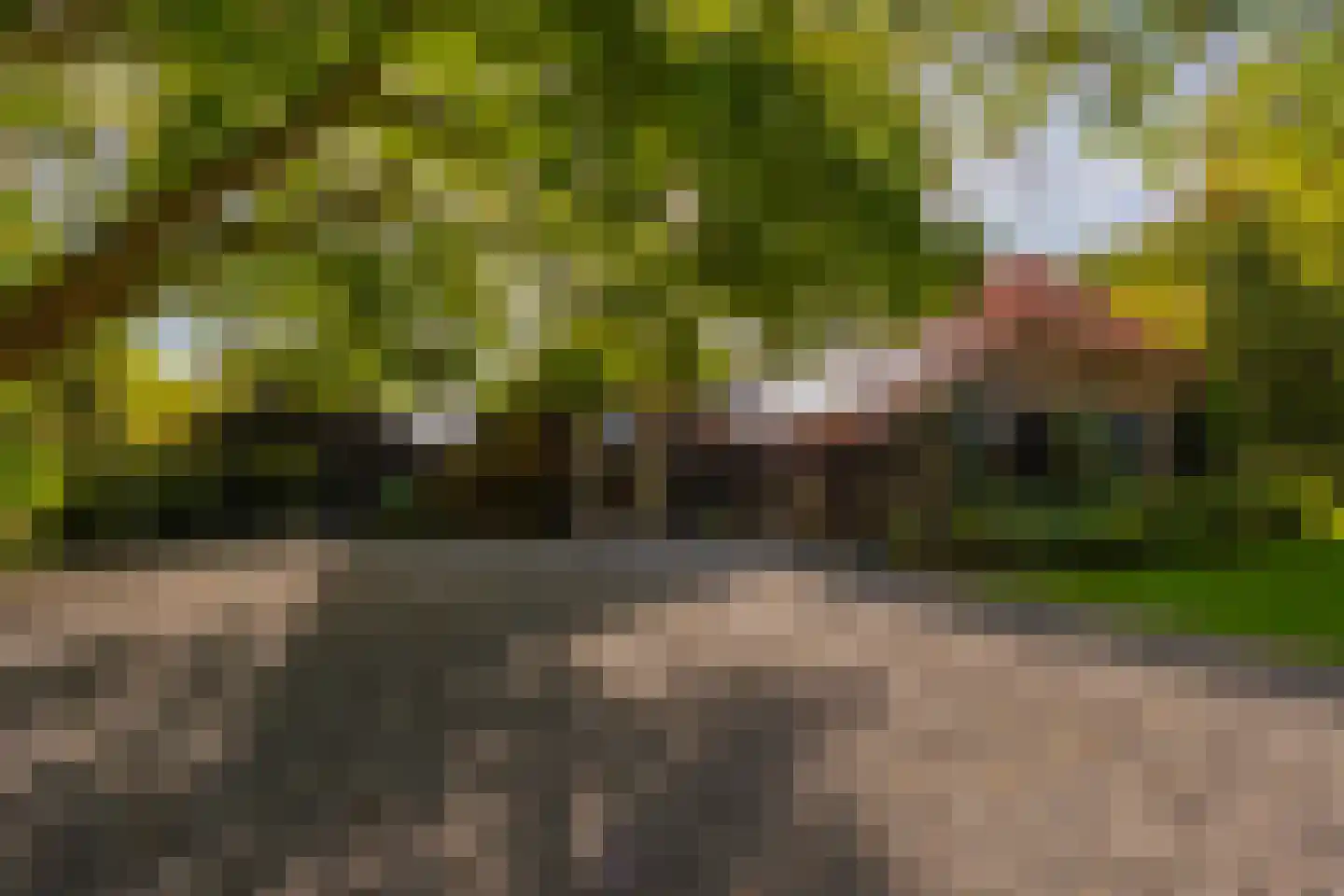 Oude Deventerweg 2 Laren thumbnail 66