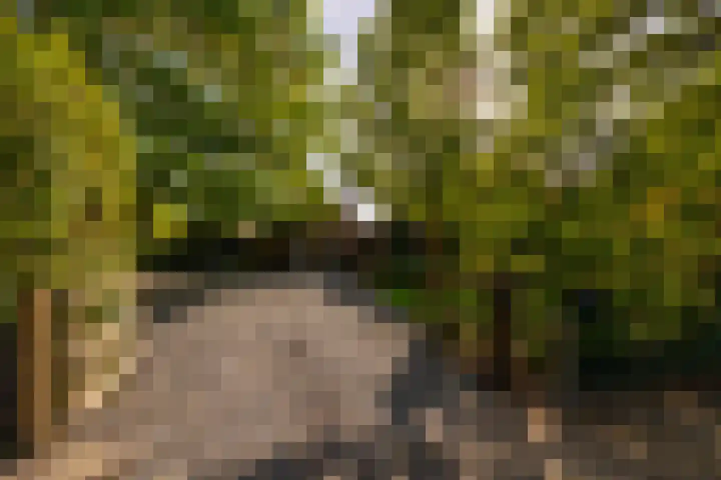 Oude Deventerweg 2 Laren thumbnail 67