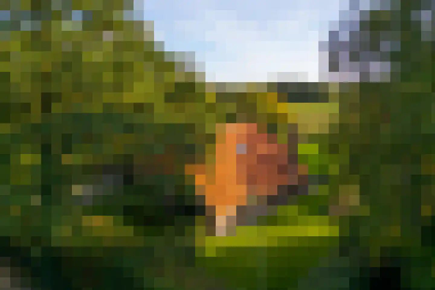 Oude Deventerweg 2 Laren thumbnail 69