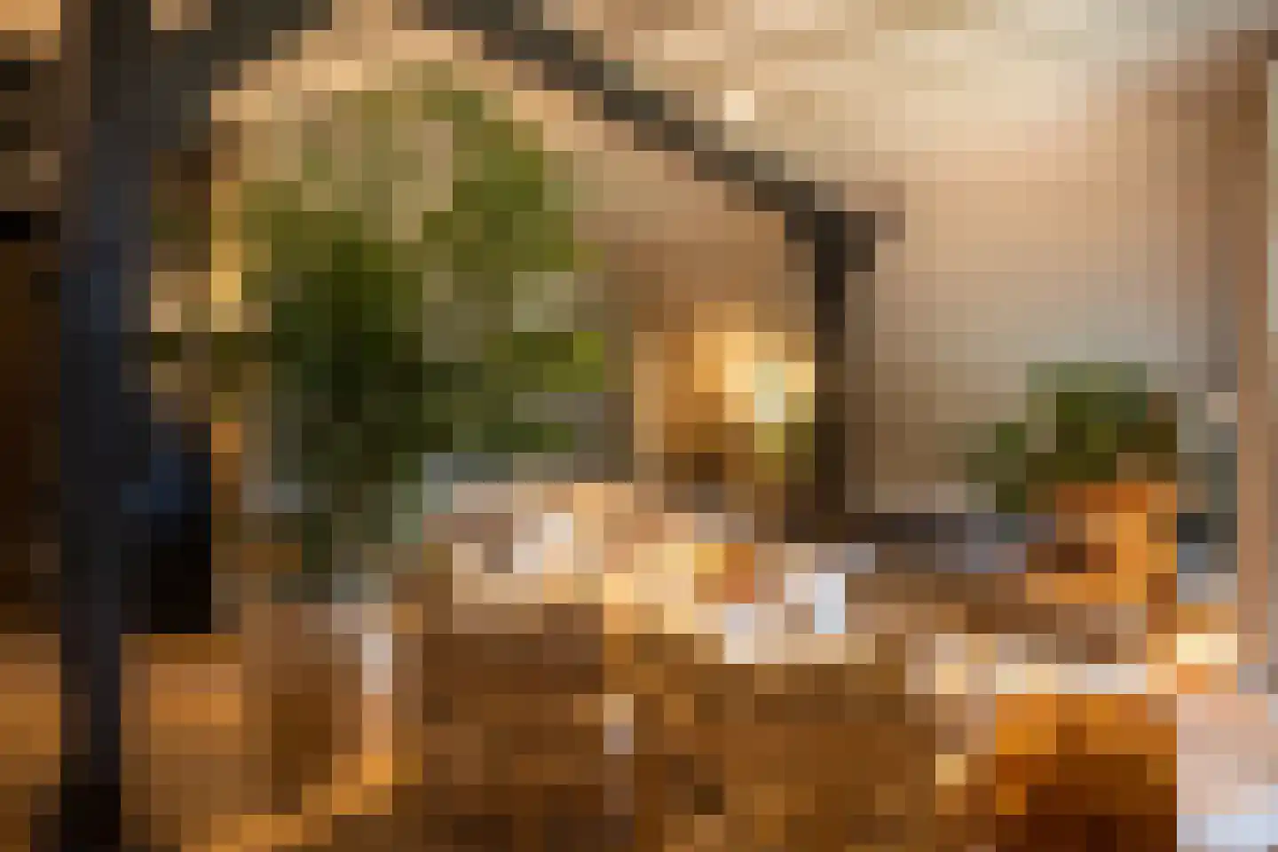 Oude Deventerweg 2 Laren thumbnail 7