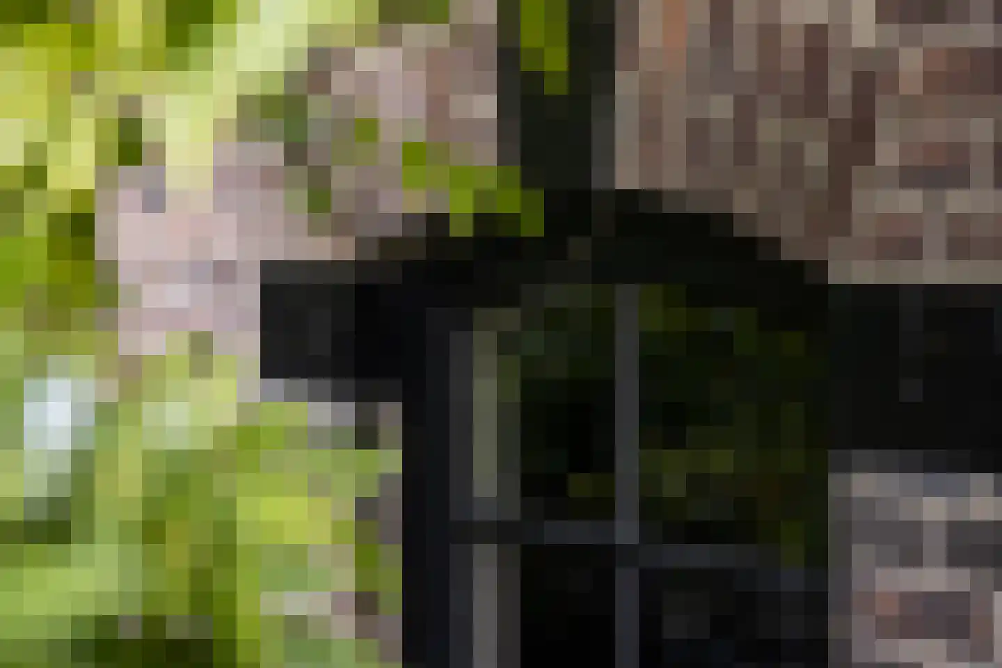 Oude Deventerweg 2 Laren thumbnail 71