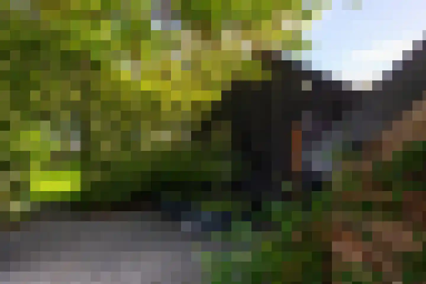 Oude Deventerweg 2 Laren thumbnail 72