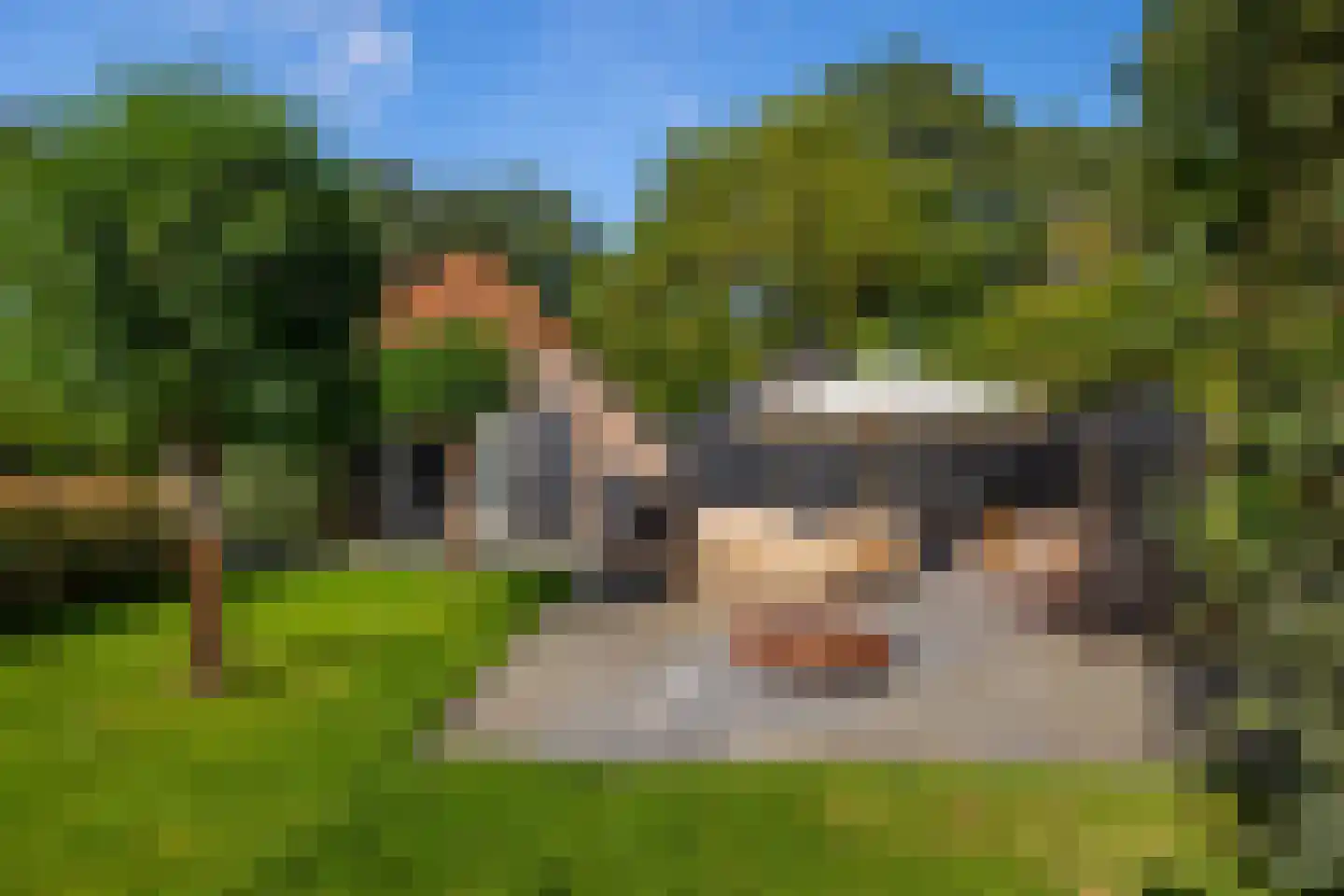 Oude Deventerweg 2 Laren thumbnail 73