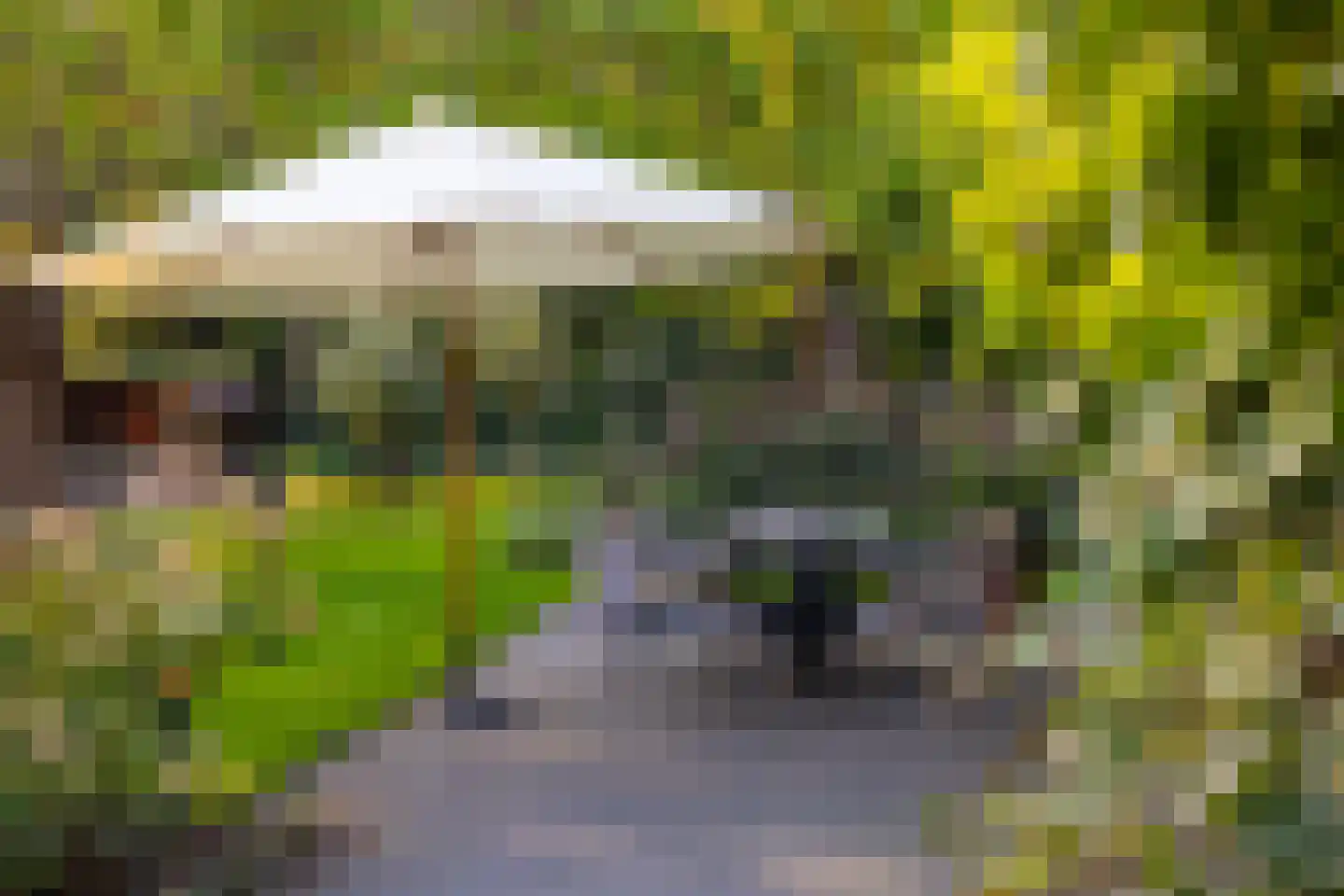 Oude Deventerweg 2 Laren thumbnail 74