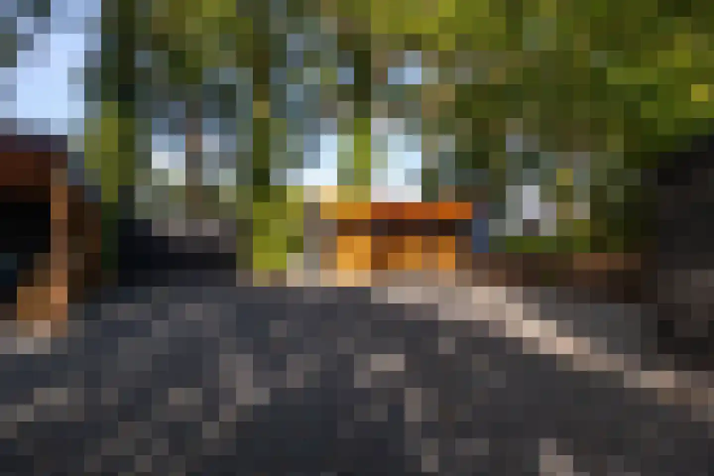 Oude Deventerweg 2 Laren thumbnail 76