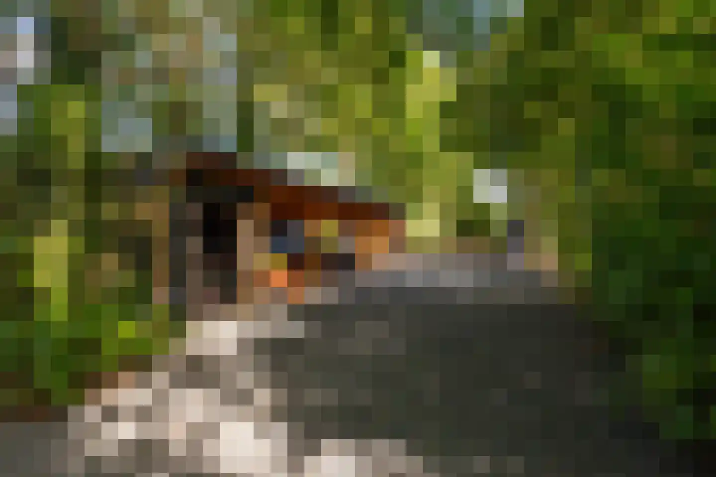 Oude Deventerweg 2 Laren thumbnail 77