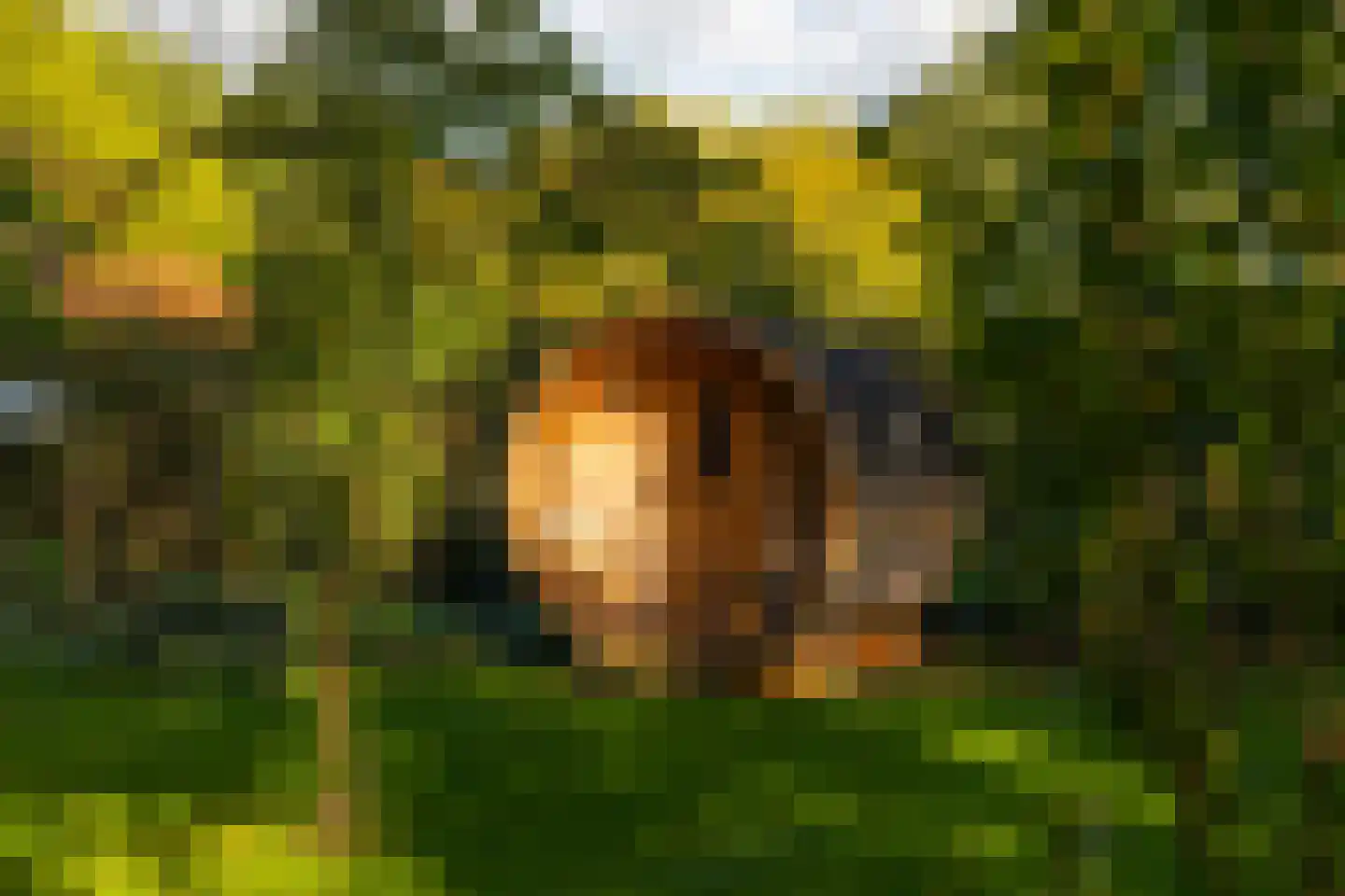 Oude Deventerweg 2 Laren thumbnail 79