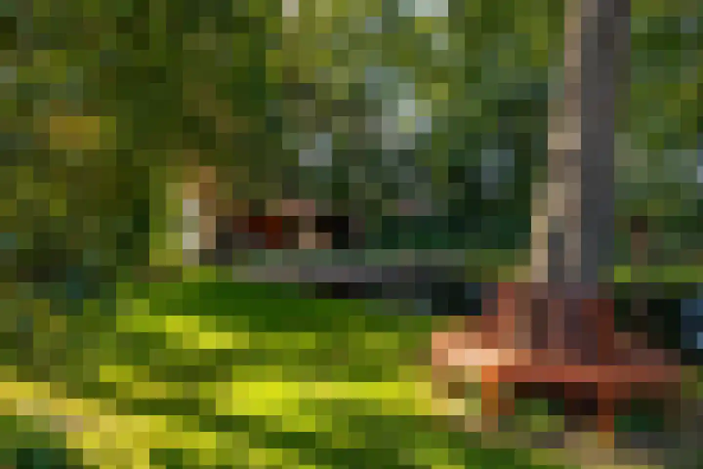 Oude Deventerweg 2 Laren thumbnail 86