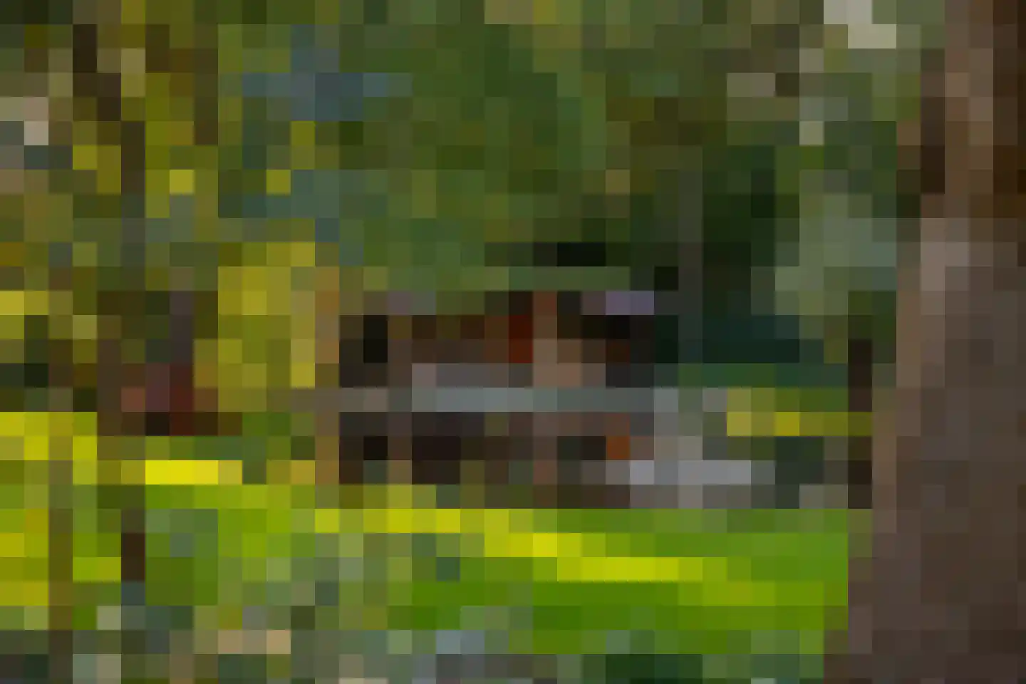 Oude Deventerweg 2 Laren thumbnail 87