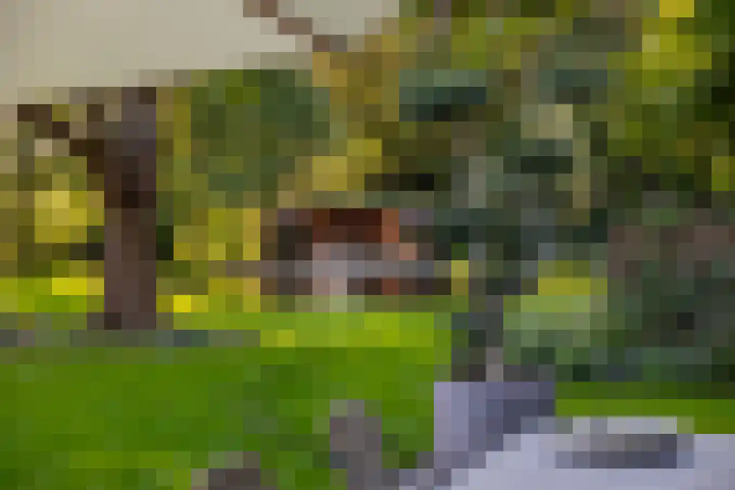 Oude Deventerweg 2 Laren thumbnail 88