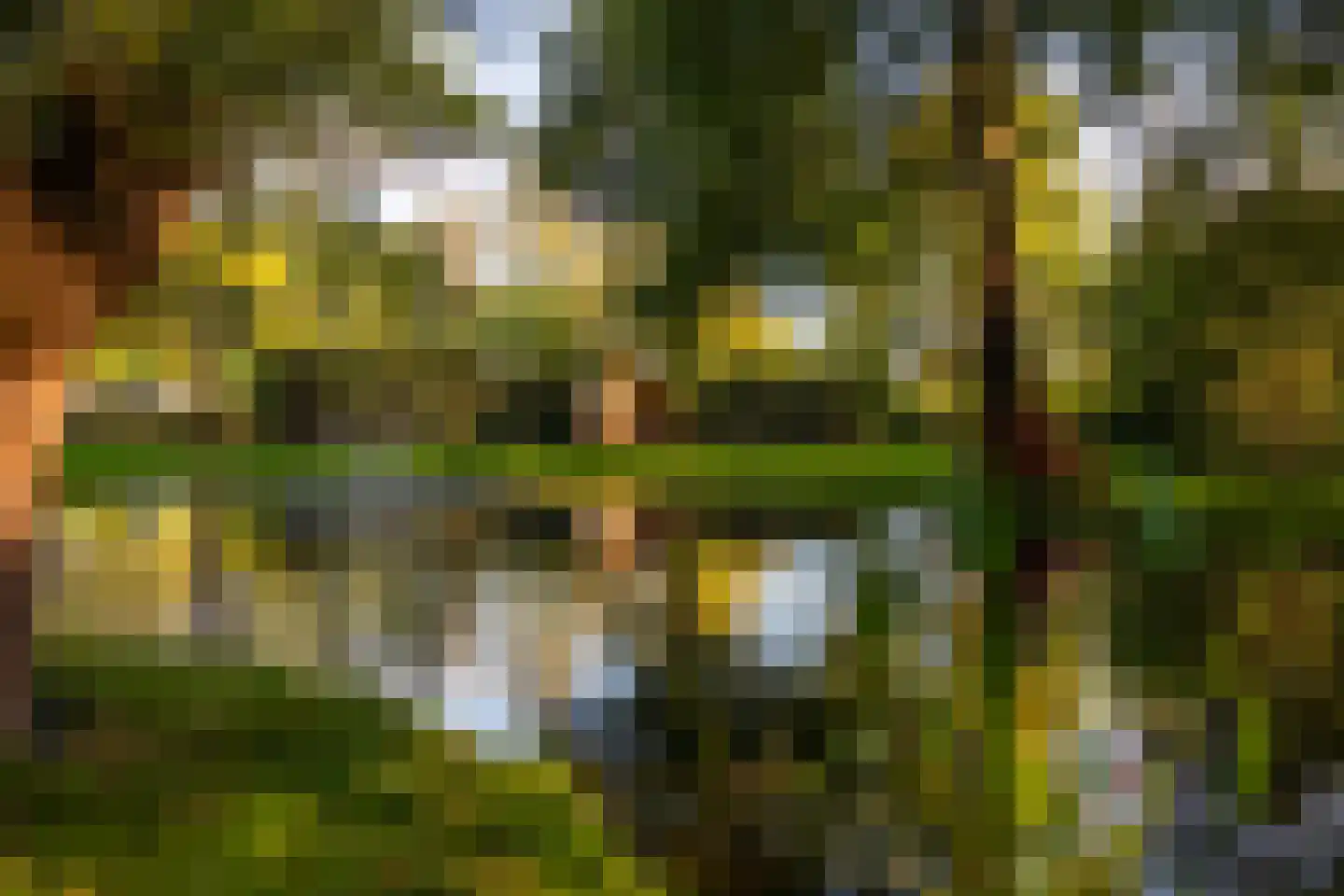 Oude Deventerweg 2 Laren thumbnail 89