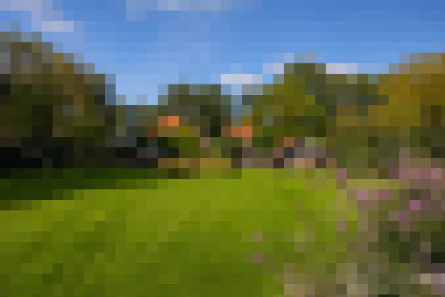 Oude Deventerweg 2 Laren thumbnail 90
