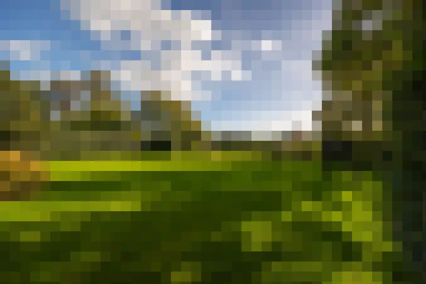 Oude Deventerweg 2 Laren thumbnail 91