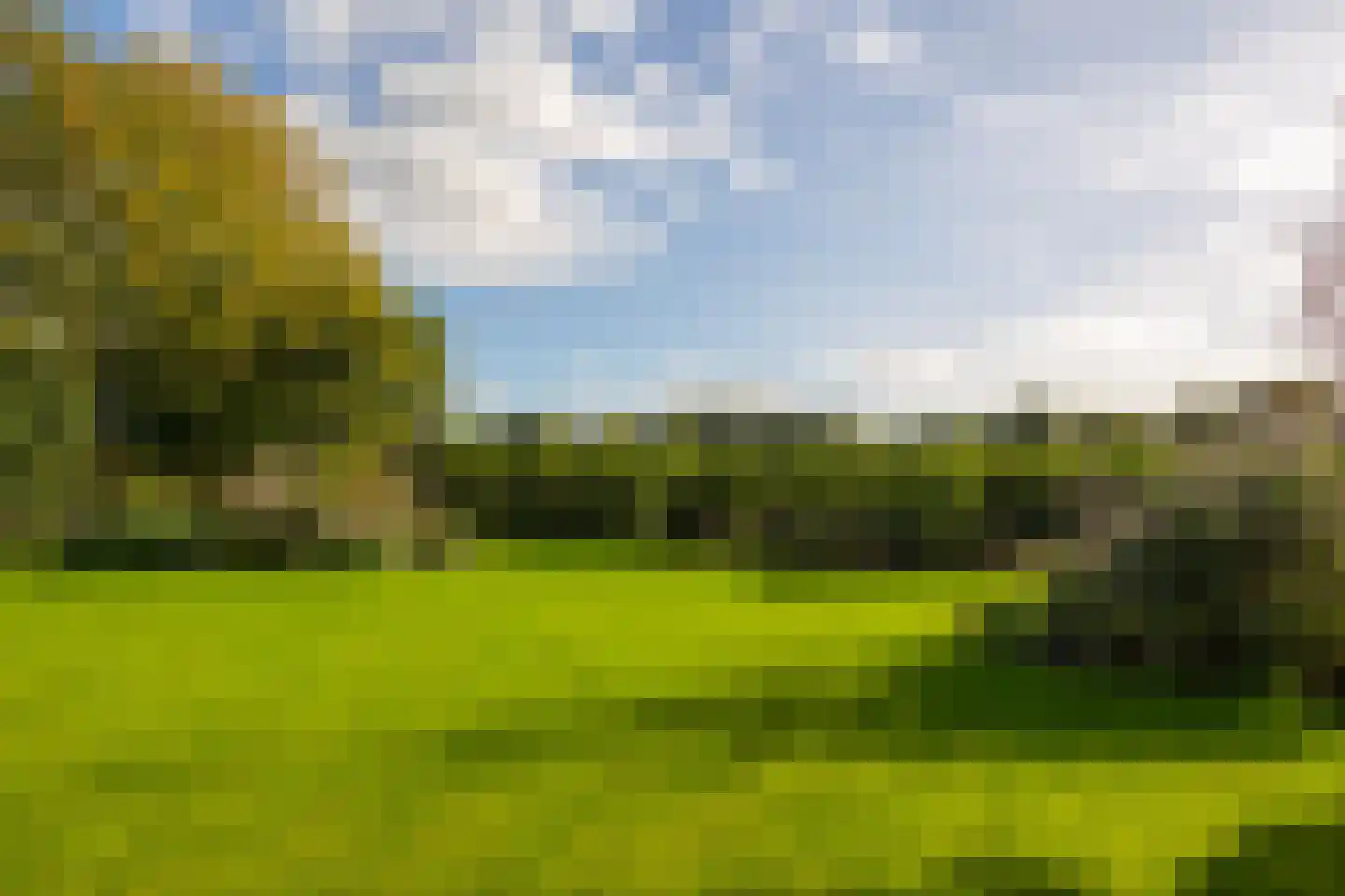 Oude Deventerweg 2 Laren thumbnail 92