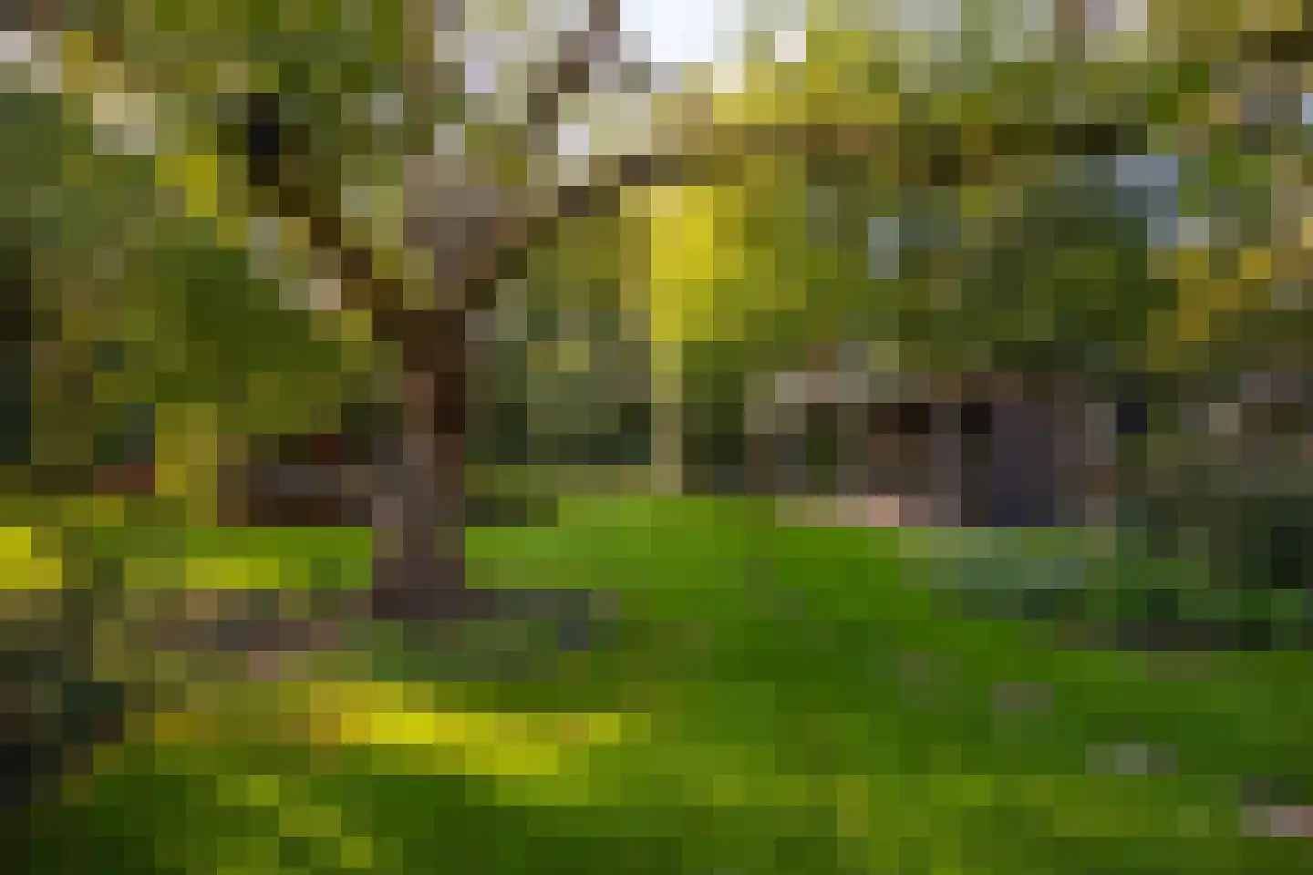 Oude Deventerweg 2 Laren thumbnail 93